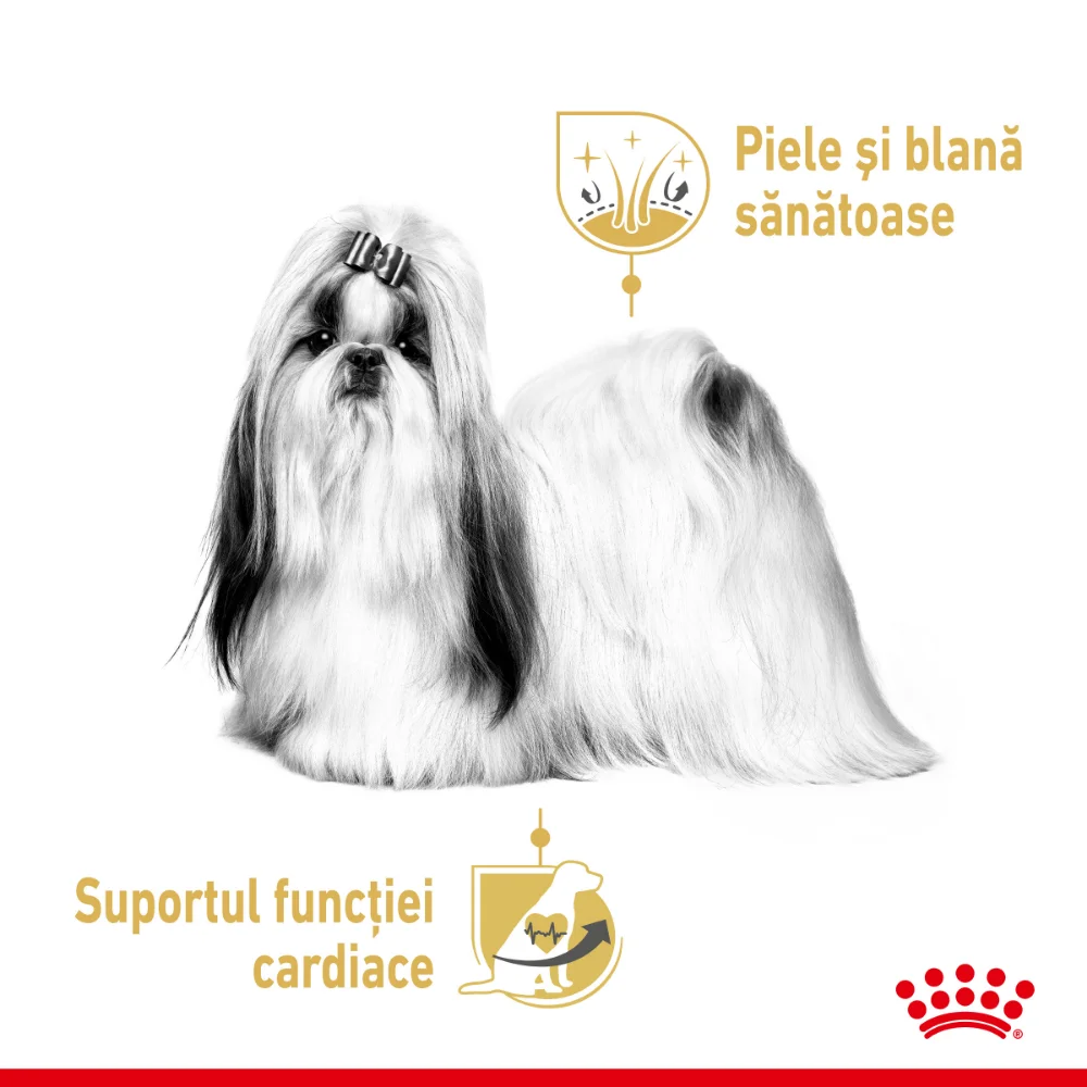 ROYAL CANIN Shih Tzu Adult, hrană umedă câine (pate), 12x85g [4]