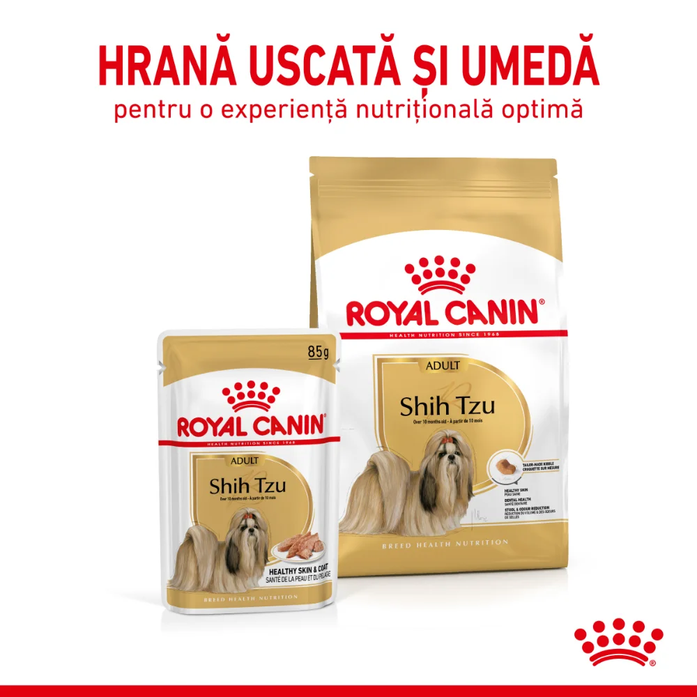 ROYAL CANIN Shih Tzu Adult, hrană umedă câine (pate), 12x85g [7]