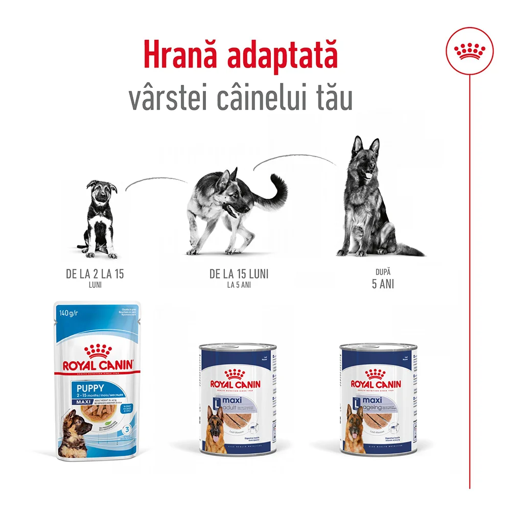 ROYAL CANIN Maxi Adult, hrană umedă câine (pate), 410g [5]