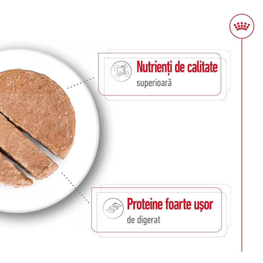 ROYAL CANIN Maxi Adult, hrană umedă câine (pate), 6x410g [4]