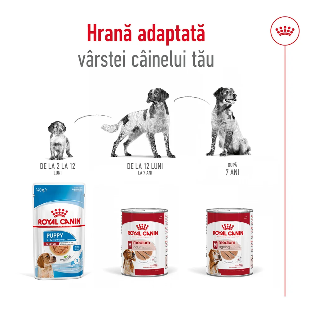ROYAL CANIN Medium Adult, hrană umedă câine (în sos), 6x410g [5]