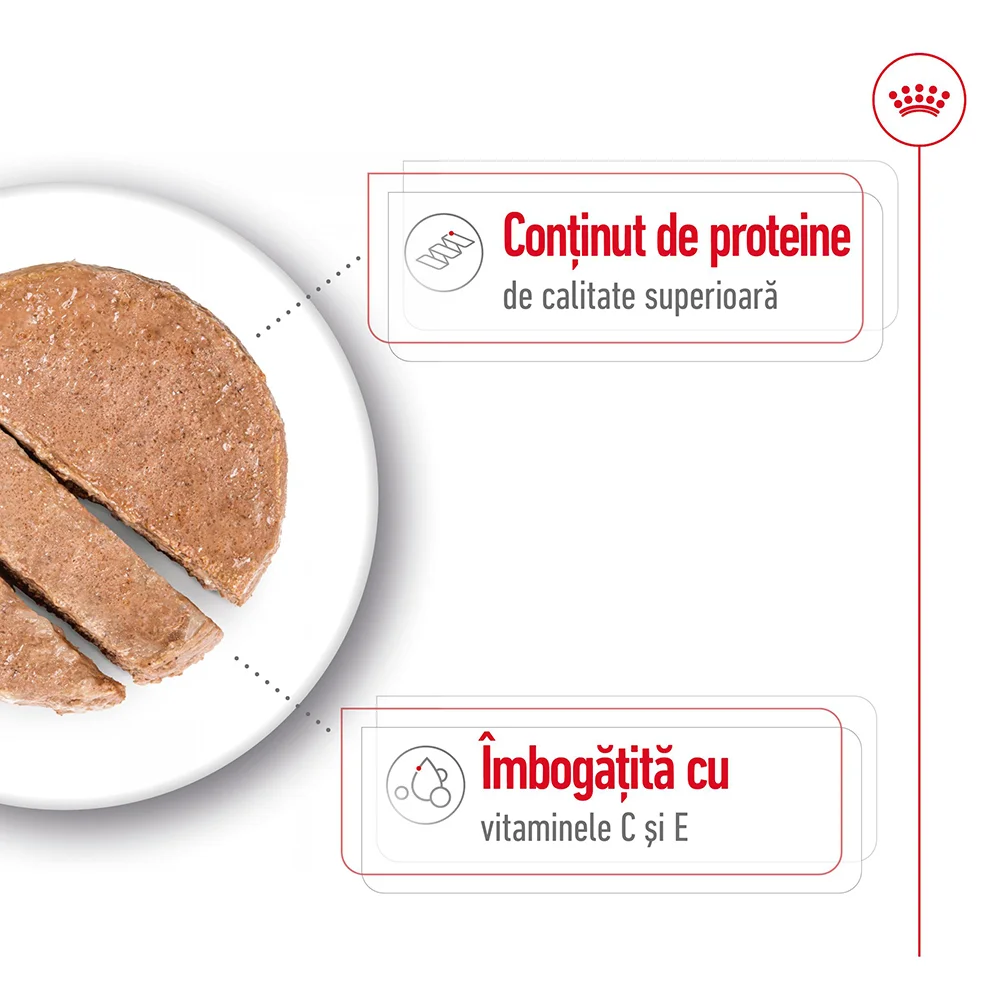 ROYAL CANIN Medium Adult, hrană umedă câine (în sos), 6x410g [4]