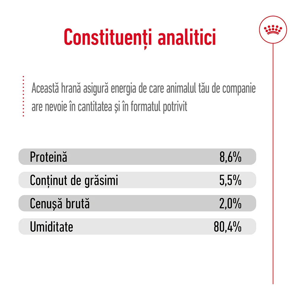 ROYAL CANIN Mini Adult, hrană umedă câine (în sos), 6x195g [6]