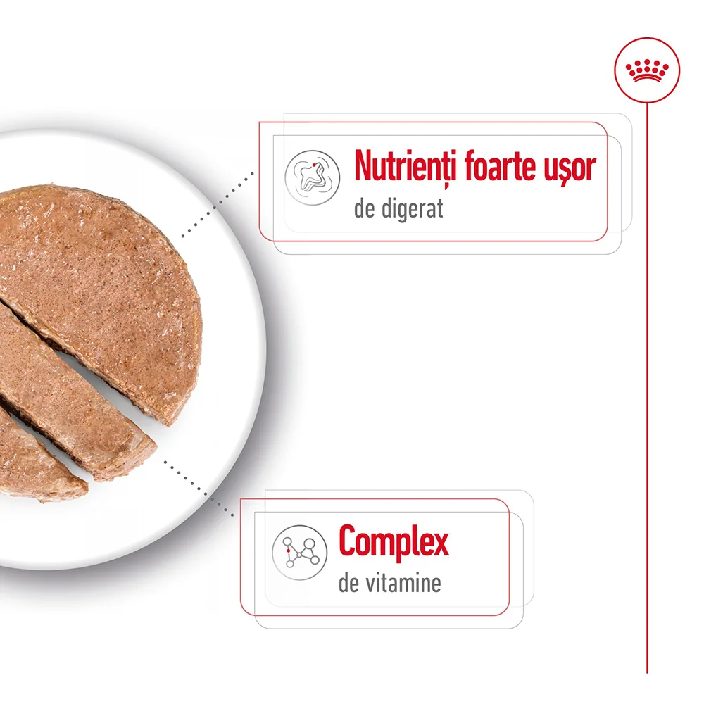 ROYAL CANIN Mini Adult, hrană umedă câine (în sos), 6x195g [4]