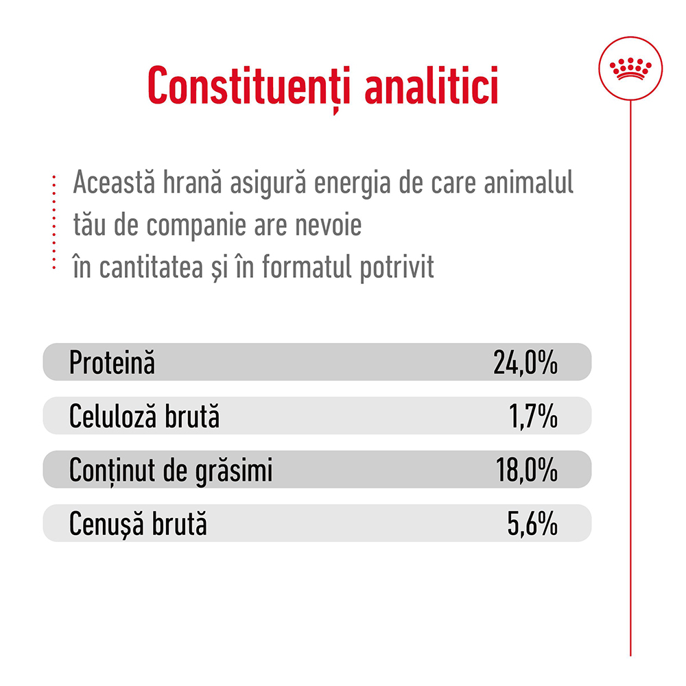 Hrană Uscată Câine Senior, ROYAL CANIN X-Small Adult, 8+, 1.5kg [8]