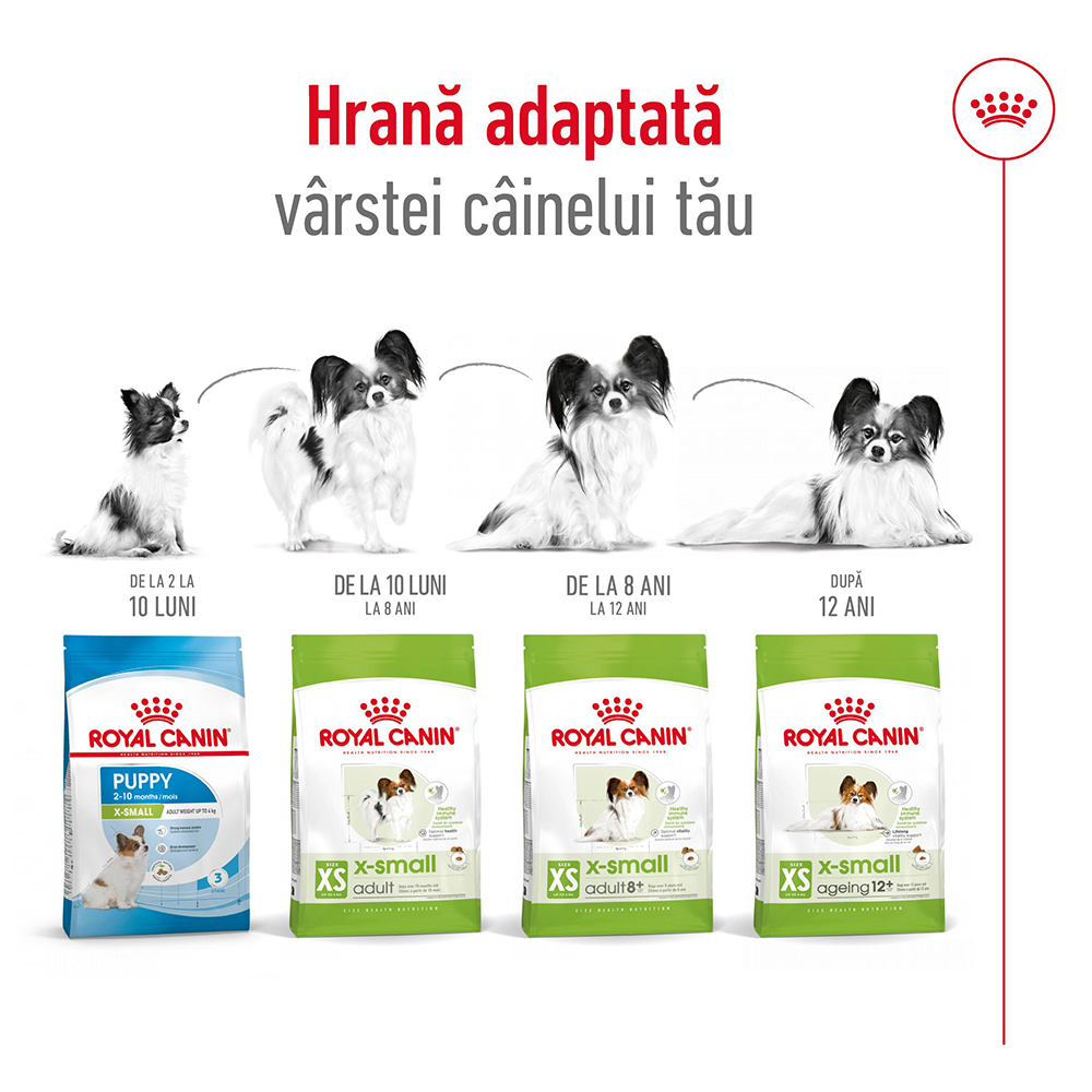 Hrană Uscată Câine Senior, ROYAL CANIN X-Small Adult, 8+, 1.5kg [7]