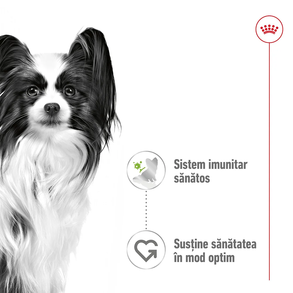 ROYAL CANIN X-Small Adult, hrană umedă câine (în sos), 12x85g [4]