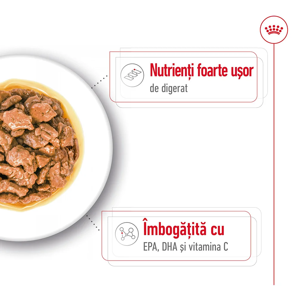 ROYAL CANIN X-Small Adult, hrană umedă câine (în sos), 12x85g [5]