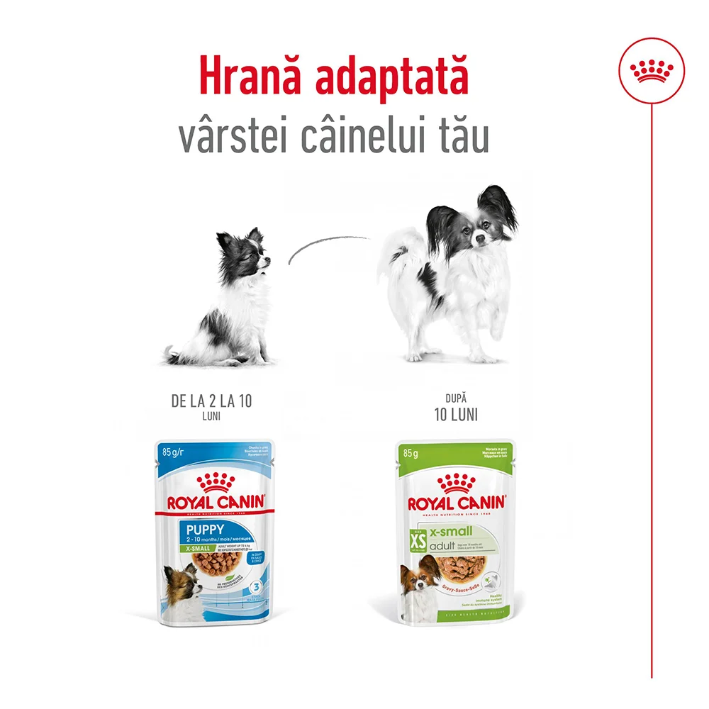 ROYAL CANIN X-Small Adult, hrană umedă câine (în sos), 12x85g [6]