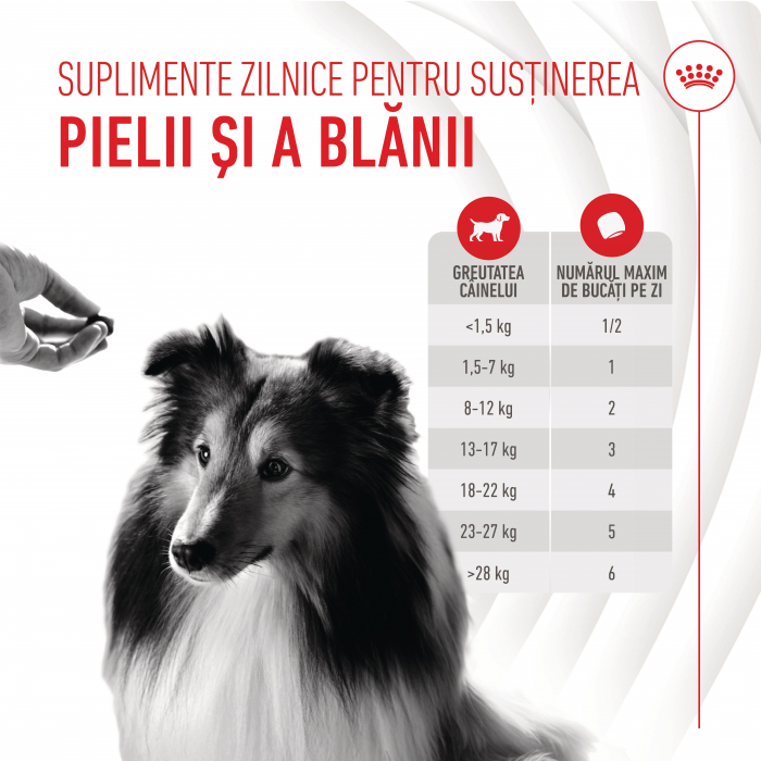 Suplimente Masticabile, ROYAL CANIN, Skin & Coat Chews Adult Supplements, 240g [5]