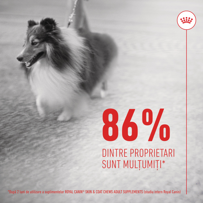 Suplimente Masticabile, ROYAL CANIN, Skin & Coat Chews Adult Supplements, 240g [6]