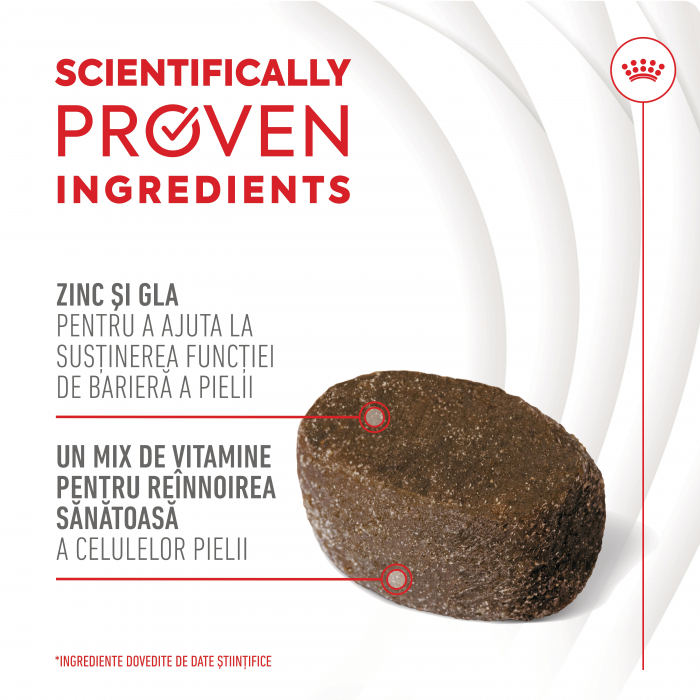 Suplimente Masticabile, ROYAL CANIN, Skin & Coat Chews Adult Supplements, 240g [3]