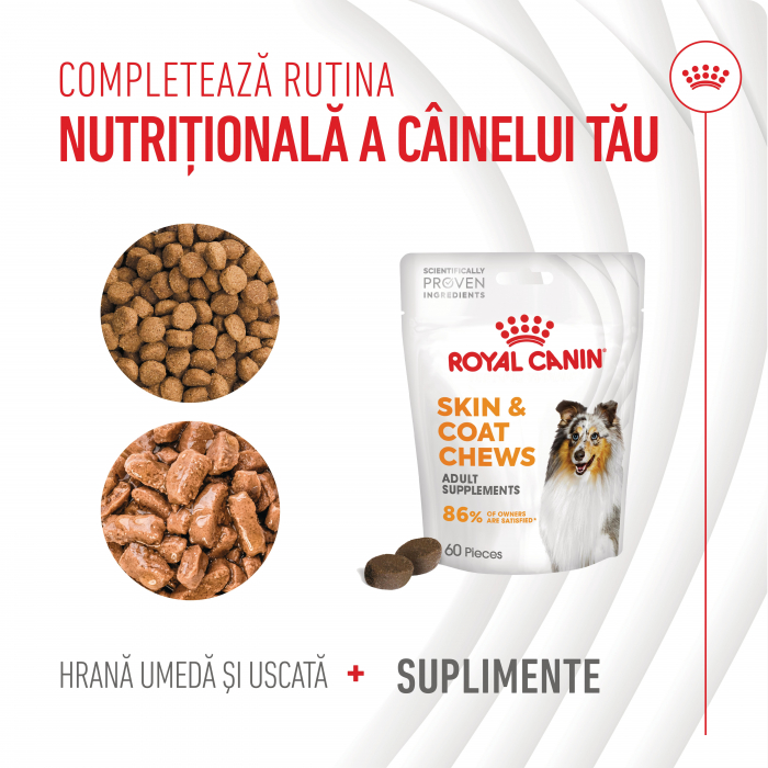 Suplimente Masticabile, ROYAL CANIN, Skin & Coat Chews Adult Supplements, 240g [4]
