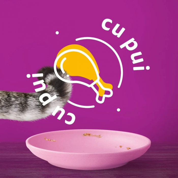 Hrana Umeda Pisici WHISKAS Junior Pui in Aspic 85g [6]