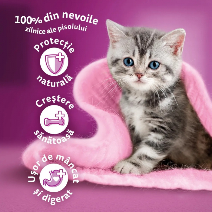 Hrana Umeda Pisici WHISKAS Junior Pui in Aspic 85g [5]