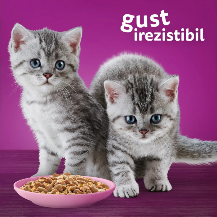 Hrana Umeda Pisici WHISKAS Junior Pui in Aspic 85g [7]