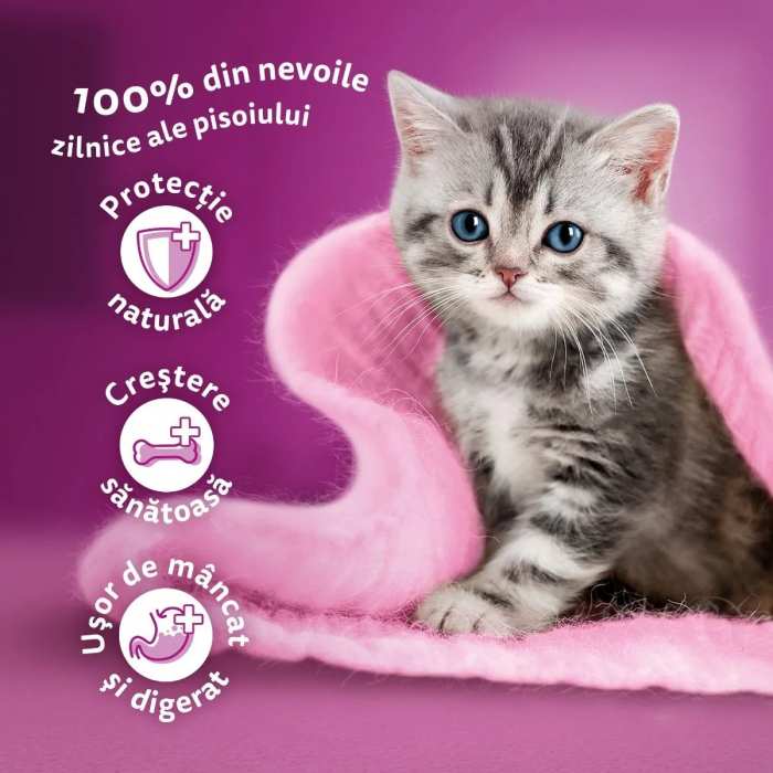 Hrana Umeda Pisici WHISKAS Junior Selectii Clasice 4x85g [5]