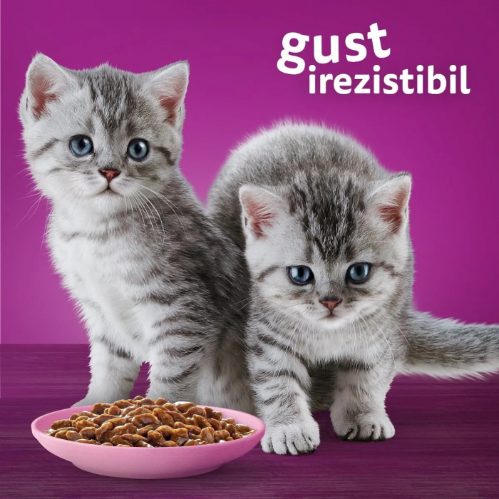 Hrana Umeda Pisici WHISKAS Junior Selectii Clasice 4x85g [7]