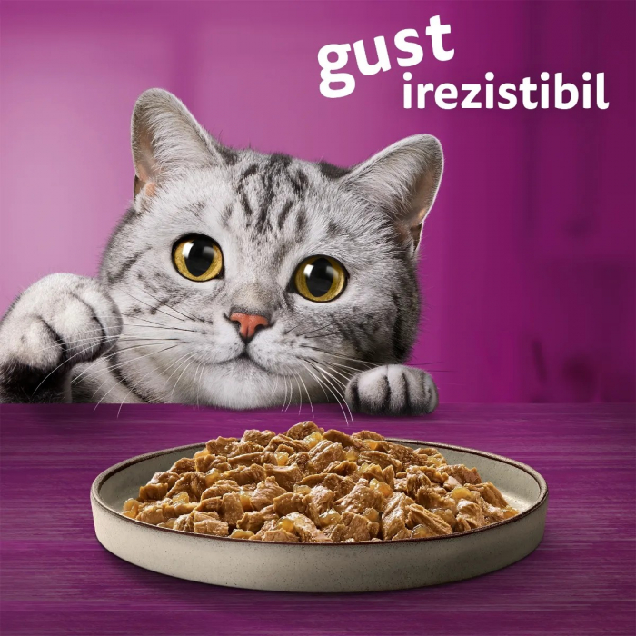 Hrana Umeda Pisici WHISKAS Pure Delight Selectii Clasice in Aspic 4x85g [7]