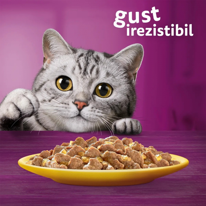 Hrana Umeda Pisici WHISKAS Pui in Aspic 85g [7]