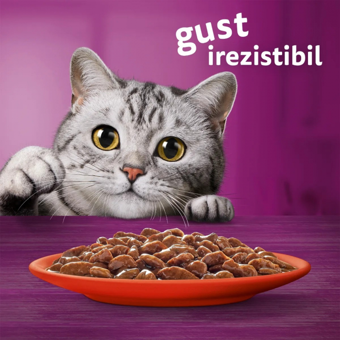 Hrana Umeda Pisici WHISKAS Selectii Clasice 4x85g [7]