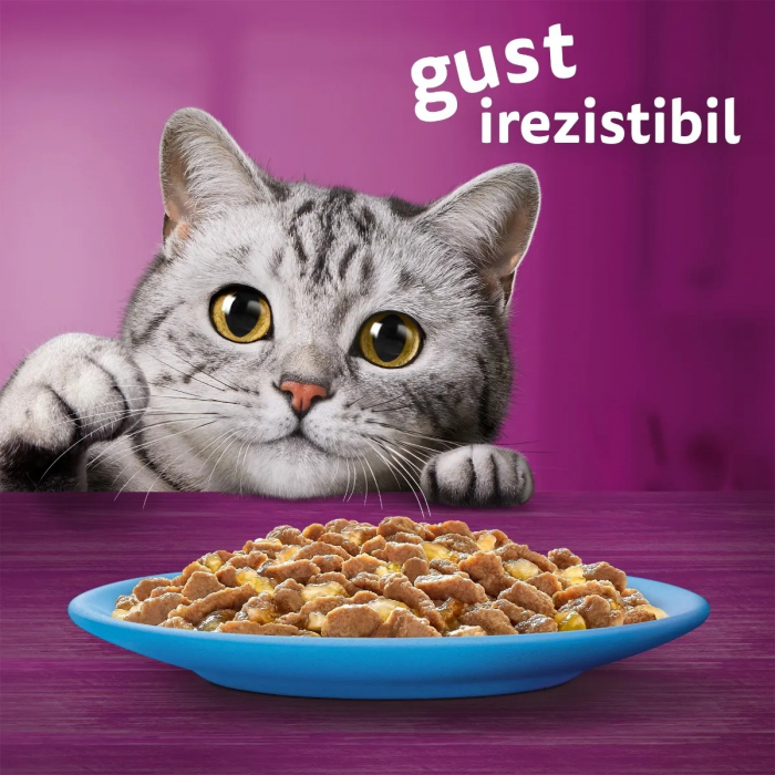Hrana Umeda Pisici WHISKAS Selectii Peste in Aspuc 12x85g [8]