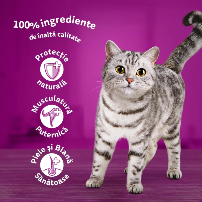 Hrana Umeda Pisici WHISKAS Selectii Peste in Aspuc 12x85g [6]
