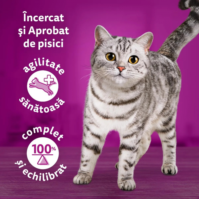 Hrana Umeda Pisici WHISKAS Tasty Mix Chef's Choice in Sos 4x85g [5]