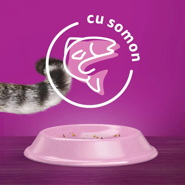 Hrana Uscata Pisici WHISKAS Adult Somon 1,4kg [7]