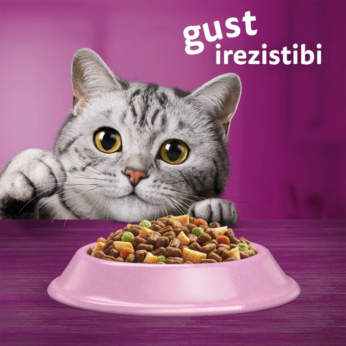 Hrana Uscata Pisici WHISKAS Adult Somon 1,4kg [8]