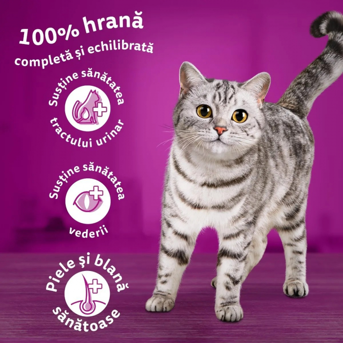 Hrana Uscata Pisici WHISKEY Adult Pui si Ficat 1,4kg [5]