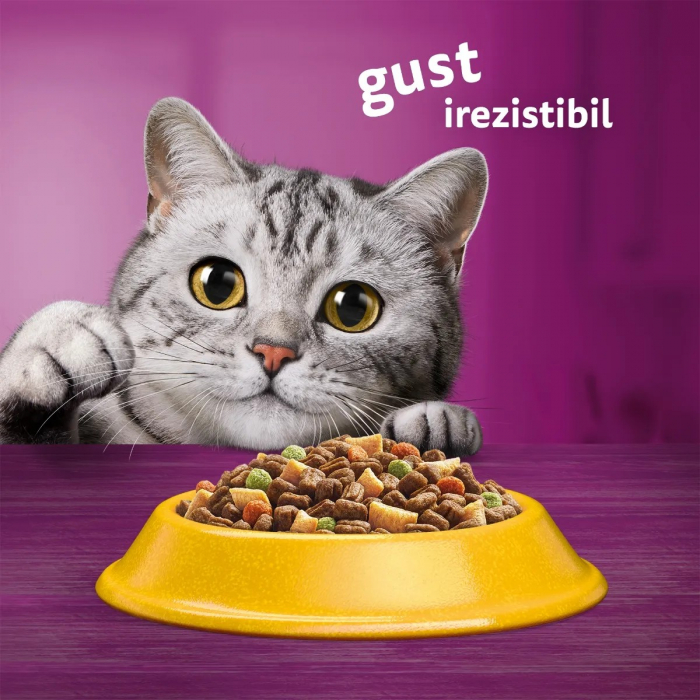 Hrana Uscata Pisici WHISKAS Adult Pui si Ficat 300g [7]