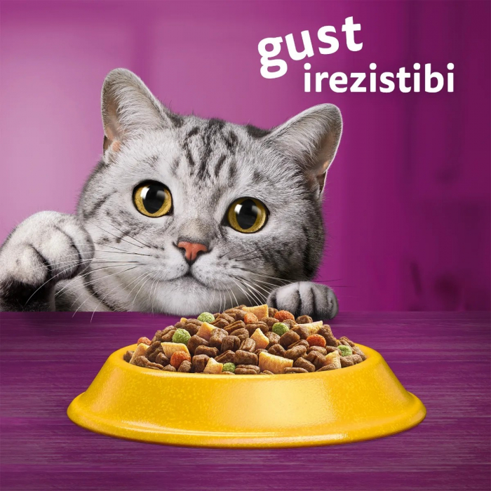 Hrana Uscata Pisici WHISKAS Adult Sterilizat Pui 1,4kg [8]
