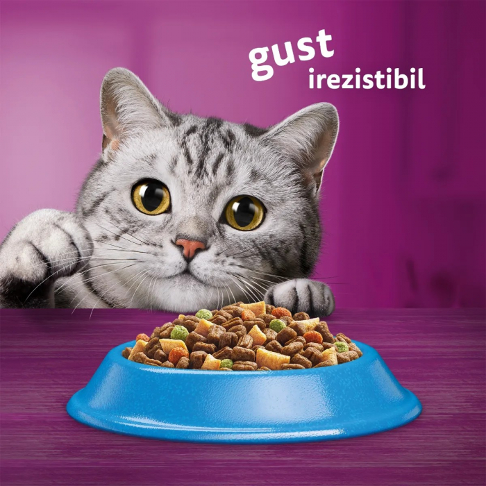 Hrana Uscata Pisici WHISKAS Adult Ton si Ficat 1,4kg [8]