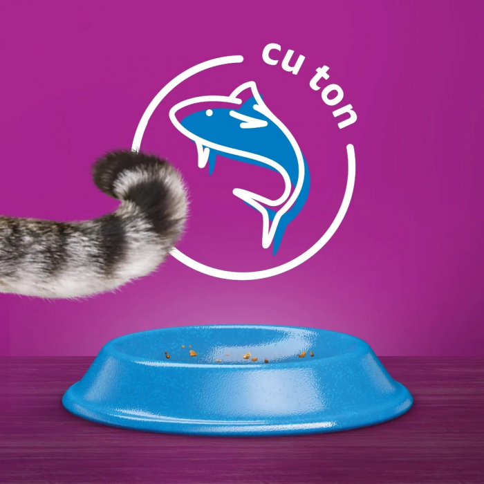 Hrana Uscata Pisici WHISKAS Adult Ton si Ficat 1,4kg [7]
