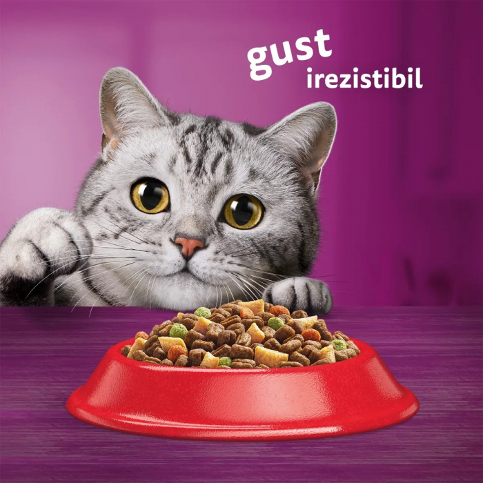 Hrana Uscata Pisici WHISKAS Adult Vita si Ficat 1,4kg [8]