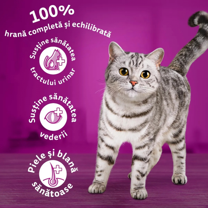 Hrana Uscata Pisici WHISKAS Adult Vita si Ficat 1,4kg [5]