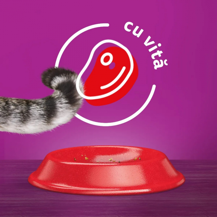 Hrana Uscata Pisici WHISKAS Adult Vita si Ficat 1,4kg [7]