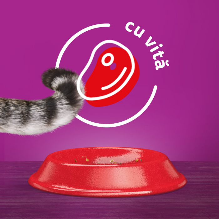 Hrana Uscata Pisici WHISKAS Adult Vita si Ficat 14kg [7]