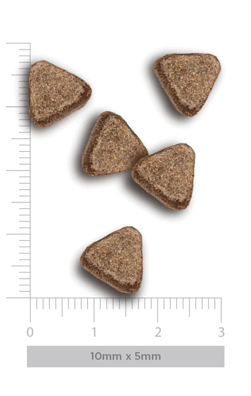 Hrană Uscată Pisică Adult, AMANOVA, Sterilizat, Hipoalergenic, Somon, 6kg [2]