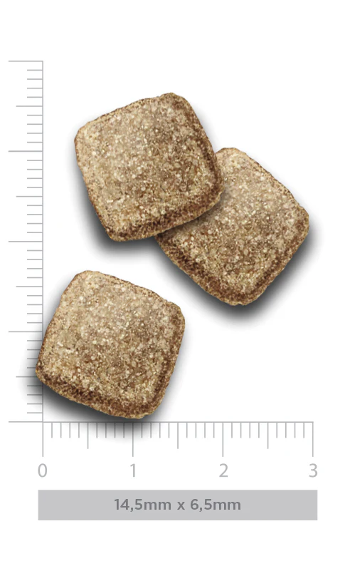 Hrană Uscată Câine Adult, AMANOVA Mobility, Hipoalergenic, Pește Alb, 10kg [2]