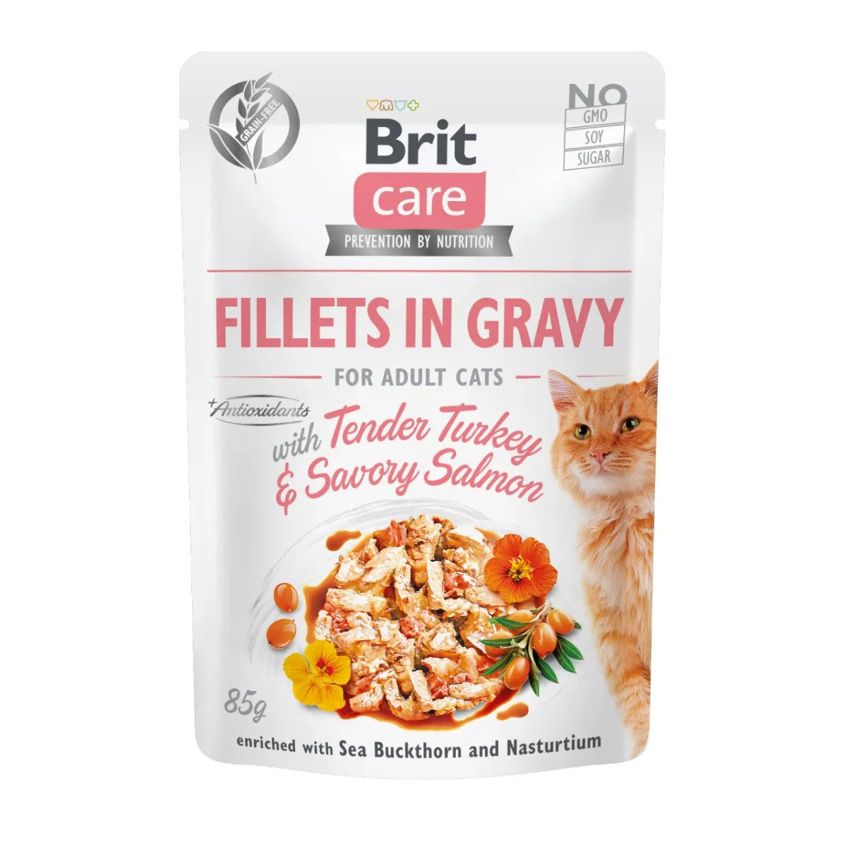 Pisică Adult - BRIT Care Fillets, Hrană Umedă Pisică Adult, Curcan și Somon, 85g