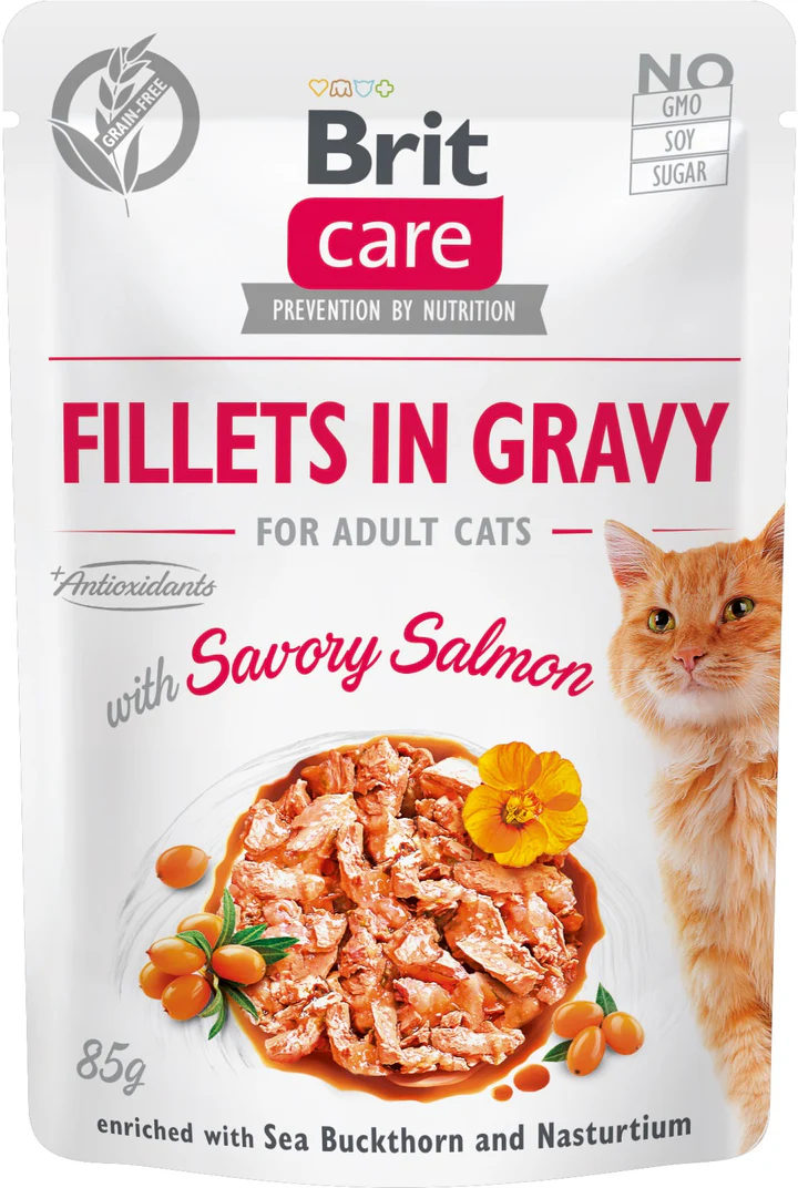 Pisici - BRIT Care Fillets, Hrană Umedă Pisică Adult, Somon, 85g
