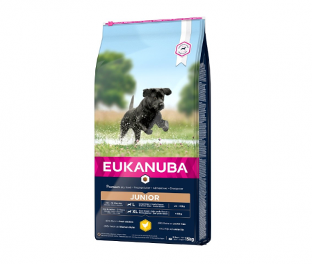Hrana uscata Caini EUKANUBA Junior Large Breed Chicken 15kg – DELISTAT [0]