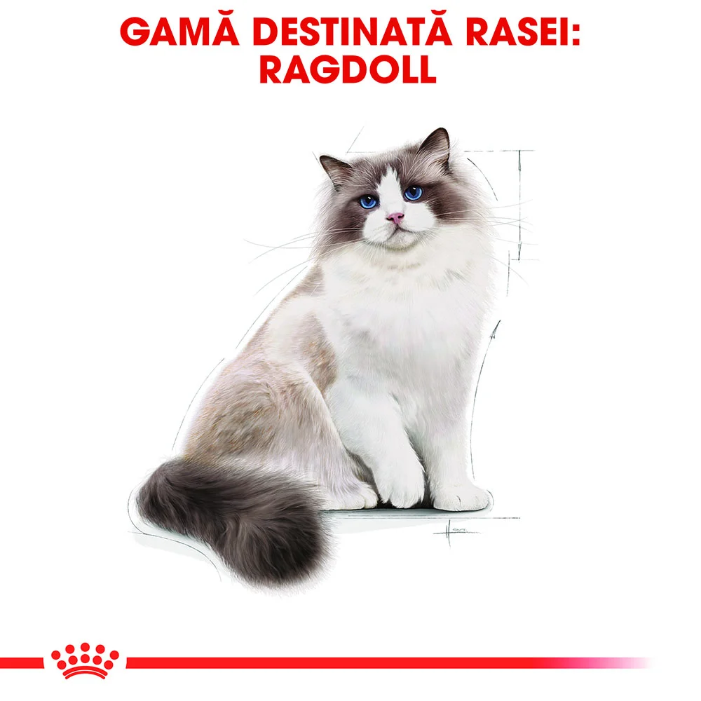 ROYAL CANIN Ragdoll Adult, hrană uscată pisică, 2kg [4]