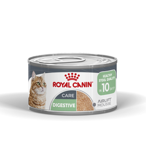 Pisici - Pachet Economic Hrană Umedă Pisică Adult, ROYAL CANIN Digestive Care Airlift, confort digestiv (textură spumoasă), 6x85g