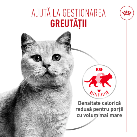 Hrană Umedă Pisică Adult, ROYAL CANIN Light Weight Care Airlift, limitarea creșterii în greutate (textură spumoasă), 85g [1]