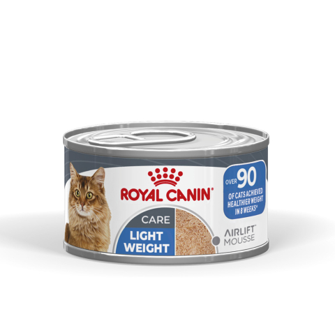 Pisici - Pachet Economic Hrană Umedă Pisică Adult, ROYAL CANIN Light Weight Care Airlift, limitarea creșterii în greutate (textură spumoasă), 6x85g