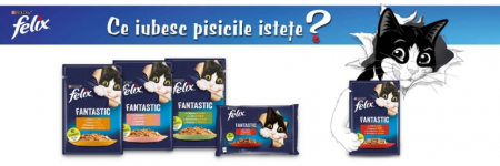 Felix Fantastic Hrana Umeda Pisica Adult Vita Si Pui In Aspic 4x85g [3]