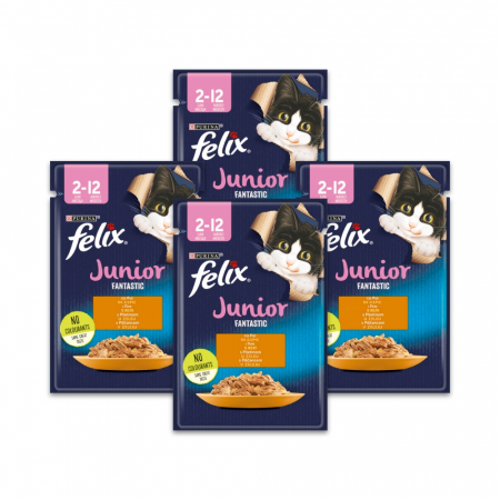 Pisici - Felix Fantastic Hrana Umeda Pisica Junior Pui In Aspic 4x85g